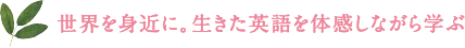 世界を身近に。生きた英語を体感しながら学ぶ